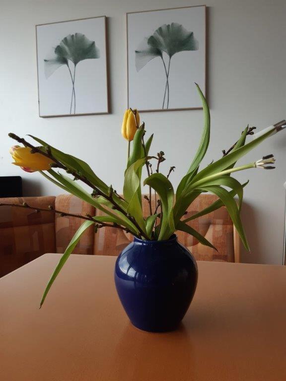 Ferienzentrum Bodensee Oberteuringen Eksteriør bilde