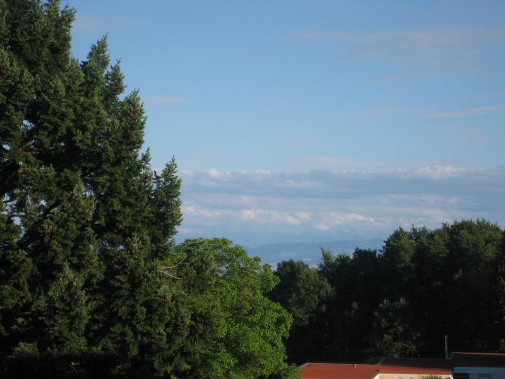 Ferienzentrum Bodensee Oberteuringen Eksteriør bilde